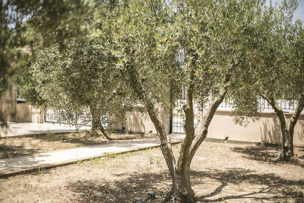 Olive Tree Apartments Фурка Экстерьер фото