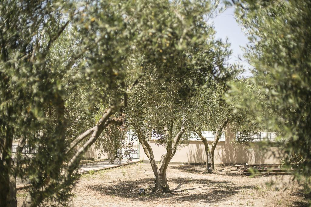 Olive Tree Apartments Фурка Экстерьер фото