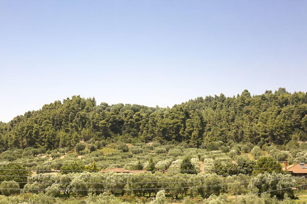 Olive Tree Apartments Фурка Экстерьер фото